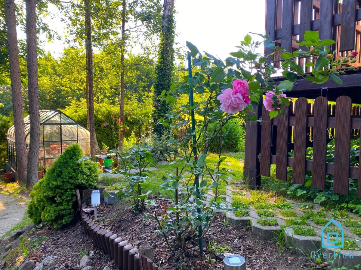 Holibobos Year Round Cottage In Kamien By The Lake Only 30 Minutes From Gdansk And Gdynia Extérieur photo